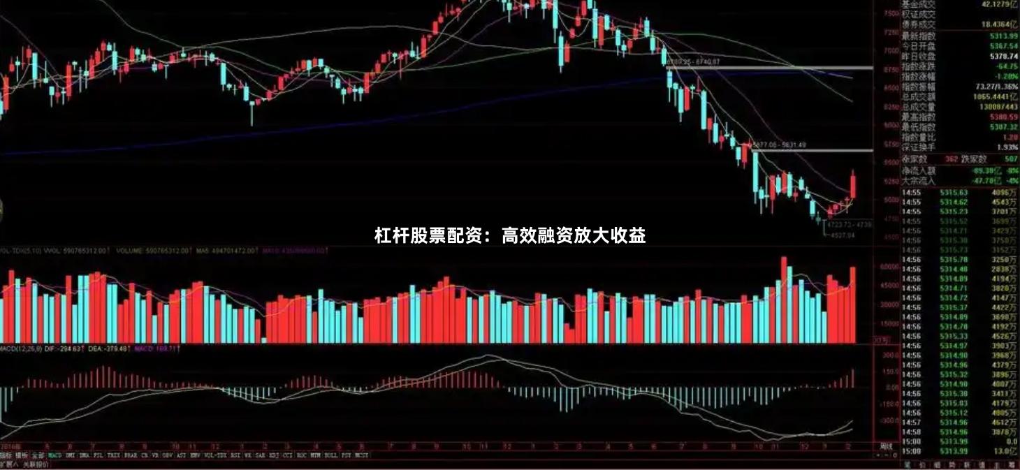 杠杆股票配资:高效融资放大收益